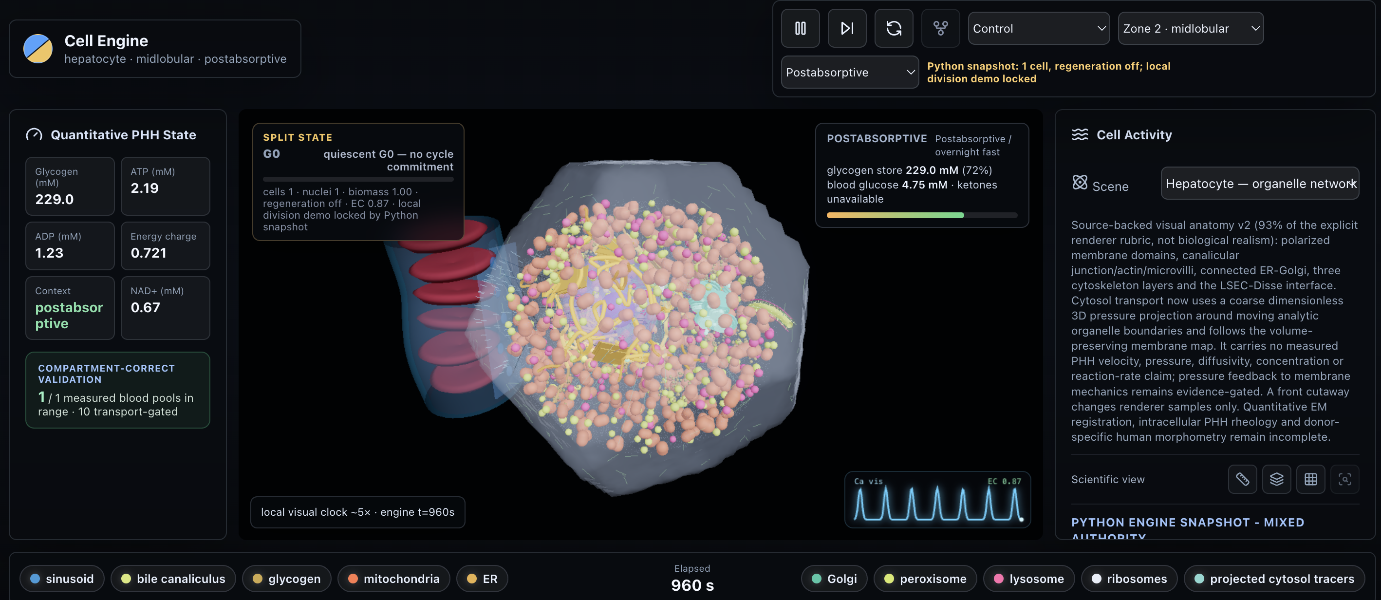 Cell Engine hepatocyte simulation